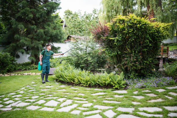 Best Pest Removal Services  in , LA