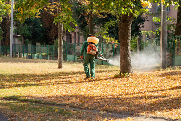 Best Wasp Removal Services  in , LA