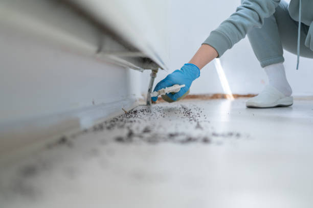 Best Flea Control Services  in , LA