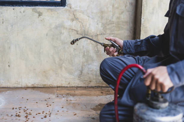 Best Affordable Pest Control Services  in , LA